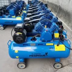 Máy nén khí dây đai Pegasus