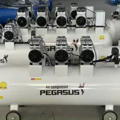 Máy nén khí không dầu Pegasus