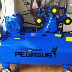 Máy nén khí Pegasus 500l 10hp TM-W-0.9/8-500L áp 8kg 14 Máy nén khí 10hp