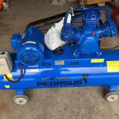 Máy nén khí 180 lít Pegasus TM-W-0.36/8-180L-4HP (220V/380V) - Ảnh 4