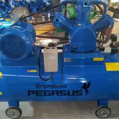 Máy nén khí Pegasus 500l 15hp TM-W-1.6/12.5-500L 5 Máy nén khí Pegasus