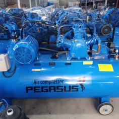 Máy nén khí Pegasus 500l 7.5hp TM-W-0.67/12.5-500L 7 Máy nén khí Pegasus 500l 7.5hp TM-W-0.67/12.5-500L
