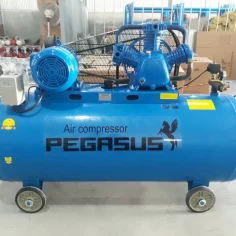 Máy nén khí Pegasus 500l 7.5hp TM-W-0.67/12.5-500L 6 Máy nén khí Pegasus 500l 7.5hp TM-W-0.67/12.5-500L