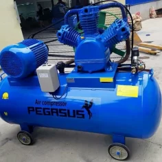 Máy nén khí 500l 20hp (15kw) Pegasus TM-W-2.0/8-500L áp 8kg 7 Máy nén khí 500l 20hp (15kw) Pegasus TM-W-2.0/8-500L áp 8kg - Ảnh 4